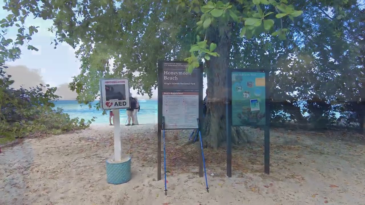 Национальный парк Виргинских островов 🌴 | Наш первый визит | Первые пятницы