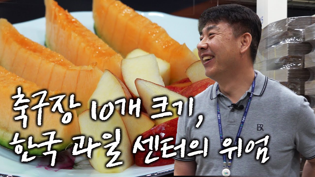하루 매출 40억원, 트럭 줄만 5km! 한국에서 제일 큰 농산물 물류센터의 위엄 | 이들의 순간