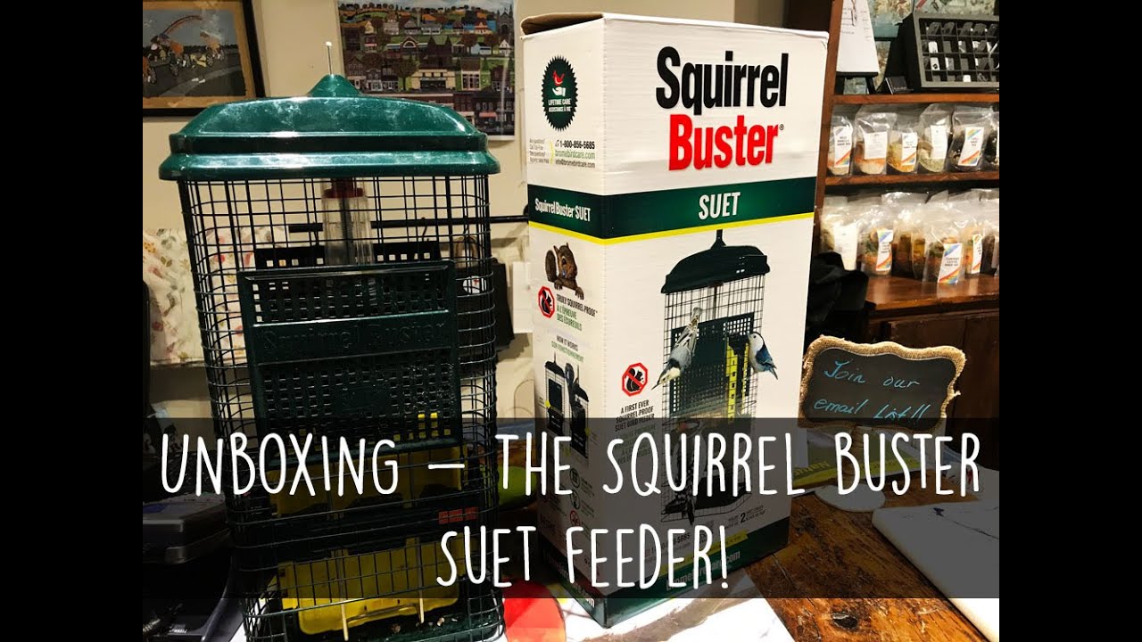 UNBOXING - The New Squirrel Buster Suet Feeder!