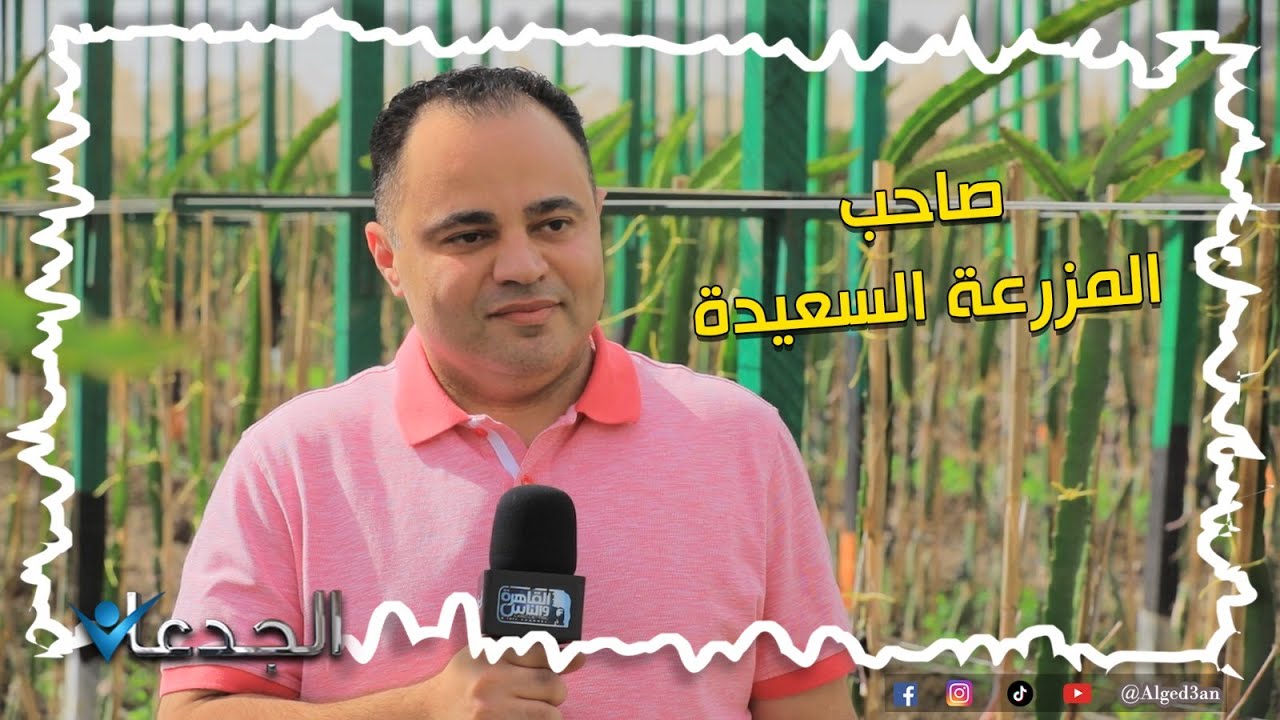" السعيد " صاحب المزرعة السعيدة للدراجون فروت في قلب الدقهلية
