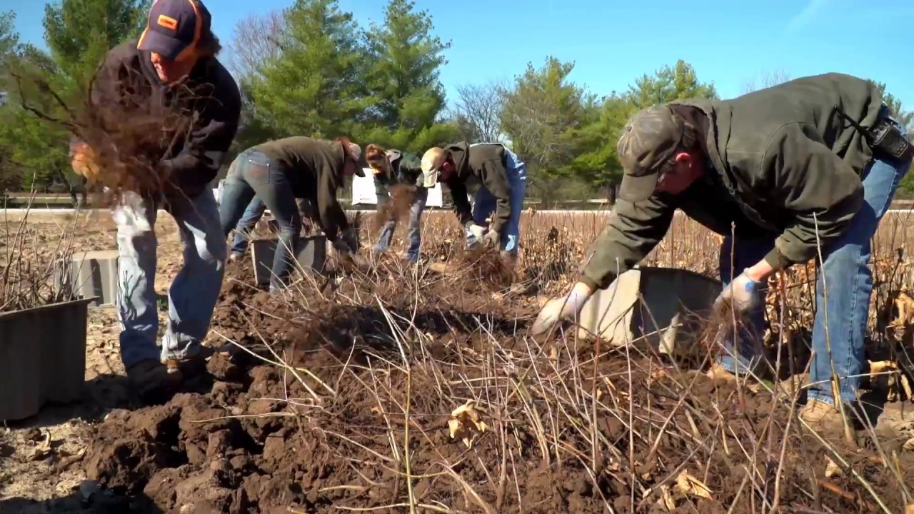 Tree Nursery Tour