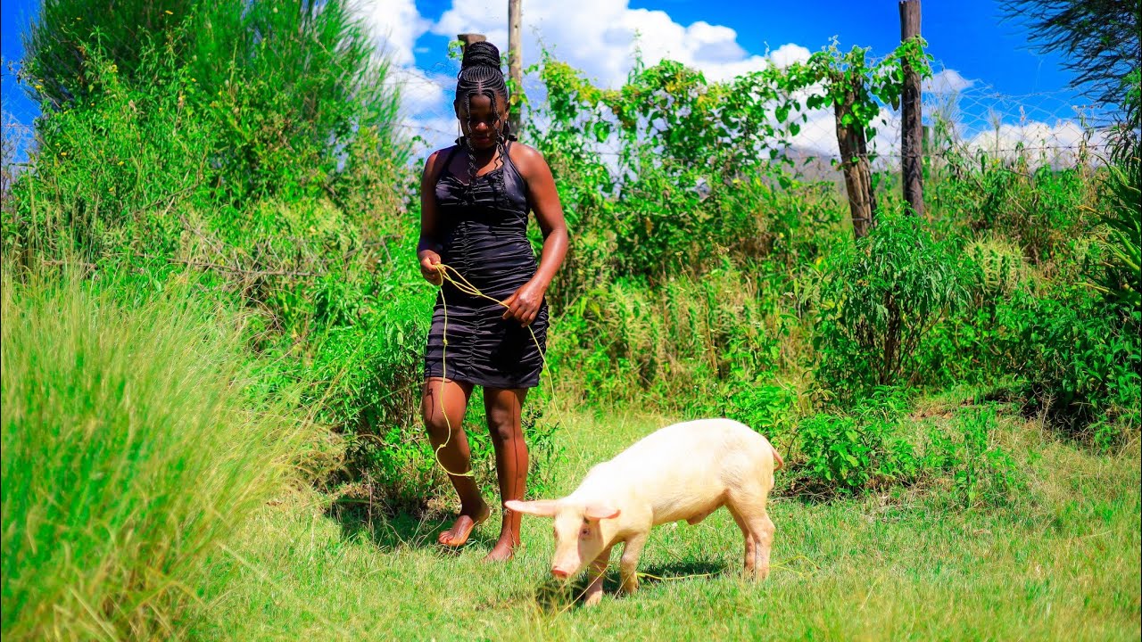 How to prepare a pig in African Home//Village life