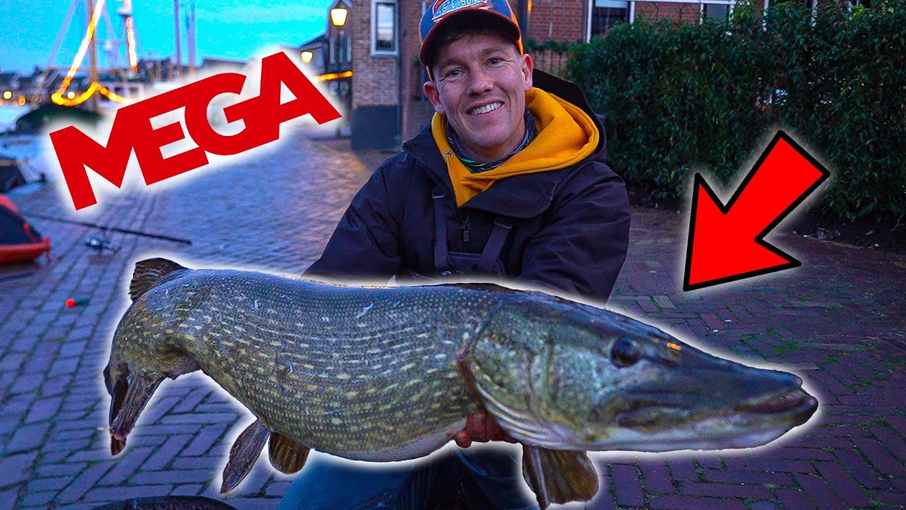 MEGA SNOEK IN DE STAD MET DOOD AAS! - VLOG 117