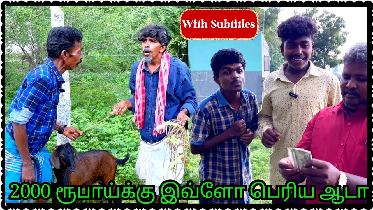 இது எங்க மாமியார் ஆடுடா முனுசாமி அப்பா மகன் அலப்பறை | With Subtitles | Pana Matta