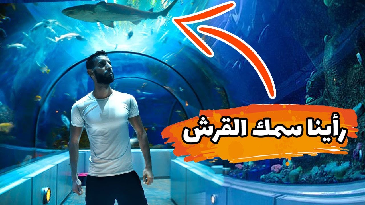 حياتي في كندا الحلقة 73 / زرنا حديقة الأسماك في كيبيك🐬🐠