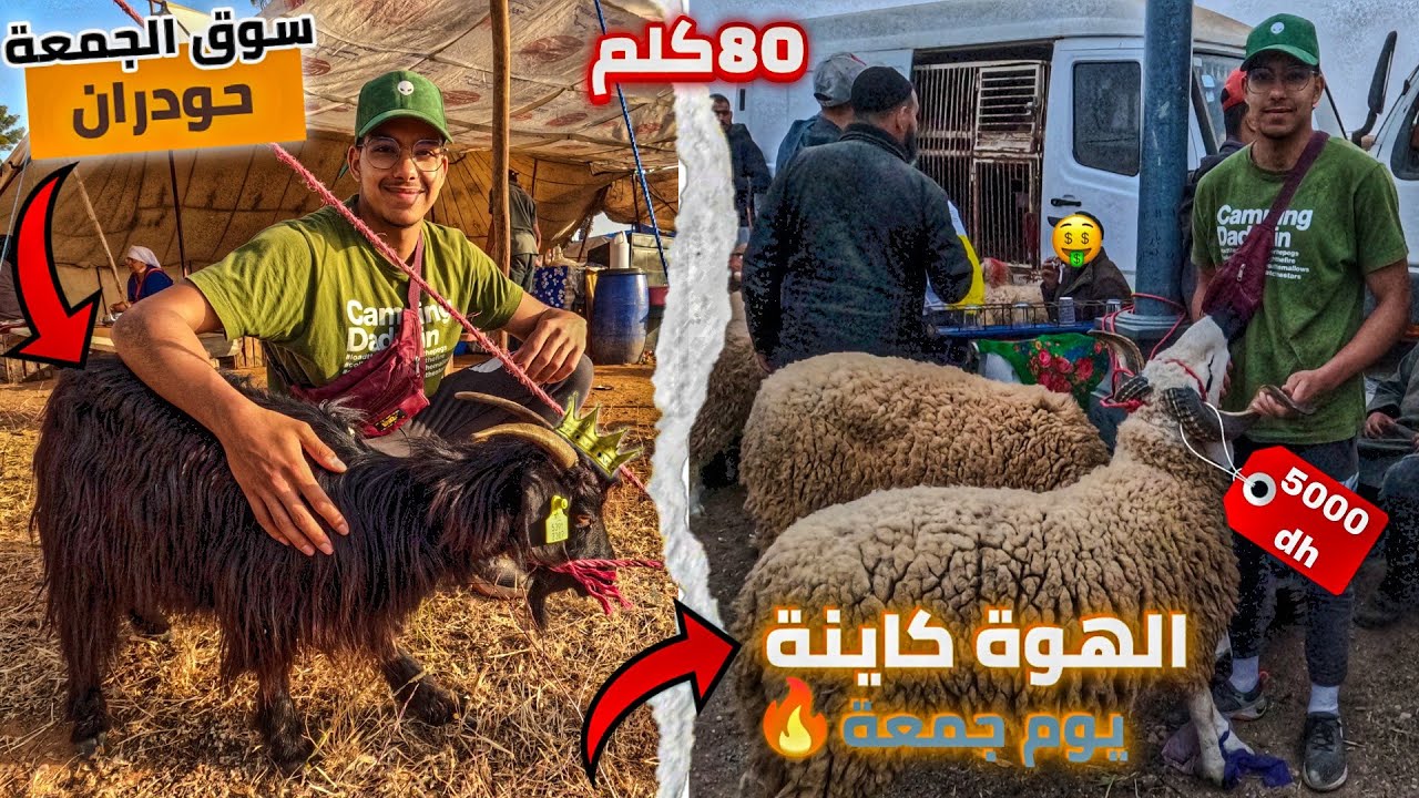 اليوم من سوق جمعة حودران إقليم الخميسات🤩 الخير موجود خروف العيد 2024🐏سوق المواشي نواحي المعازيز🤩🇲🇦