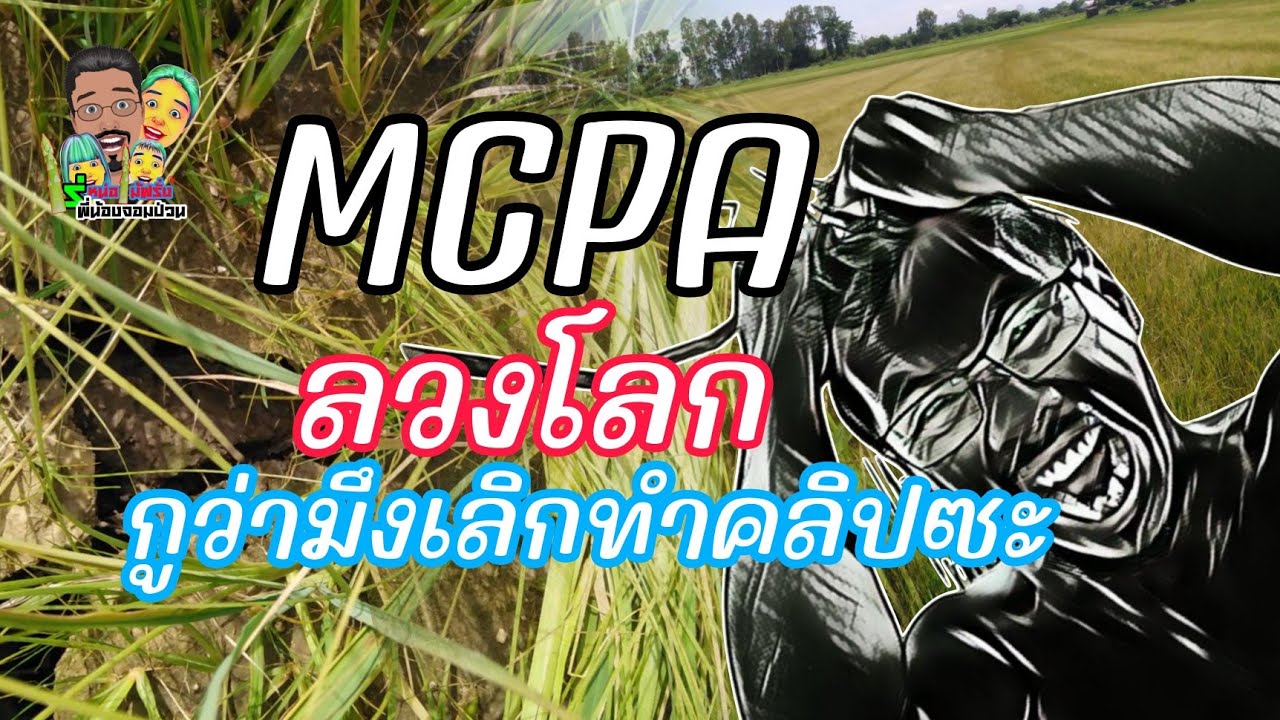🫢MCPA ลวงโลกทำไมต้องทำคลิปแย่ๆแบบนี้ออกมาวะมึงหยุดเถอะไอ้...! 🫢