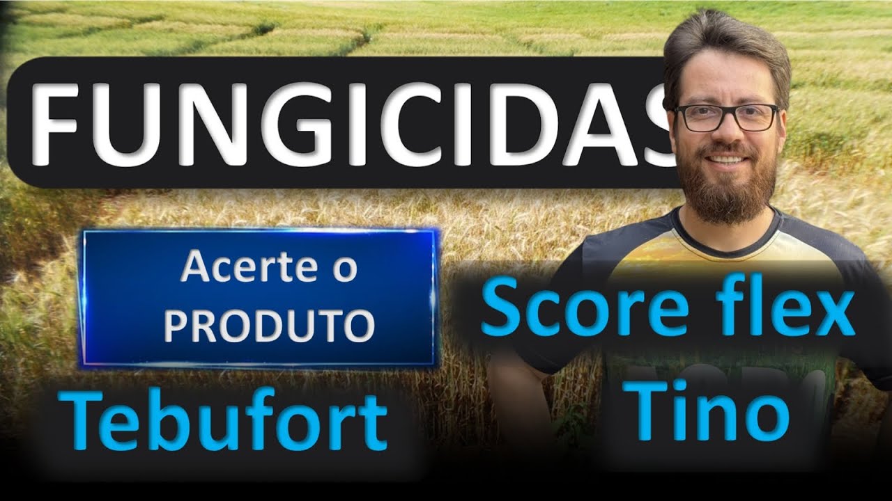 Resultado dos fungicidas tino, score flex e tebufort em trigo