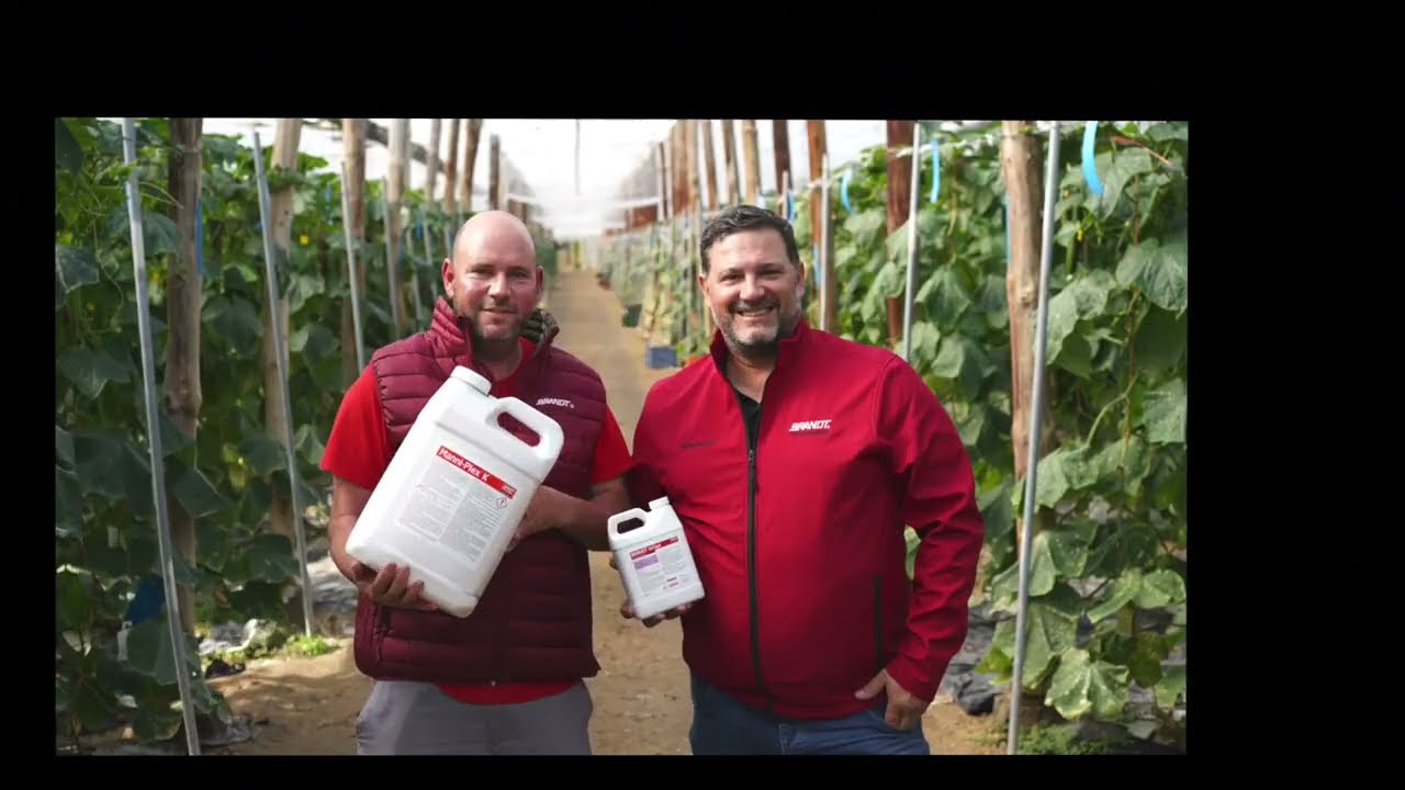 Agricultor en Balerma (El Ejido) recomienda los productos BRANDT para el cultivo de pepino