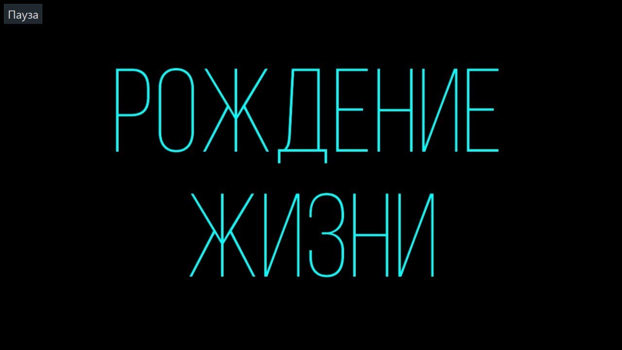 New Paradise ft. Victoria &laquo;РОЖДЕНИЕ ЖИЗНИ&raquo;