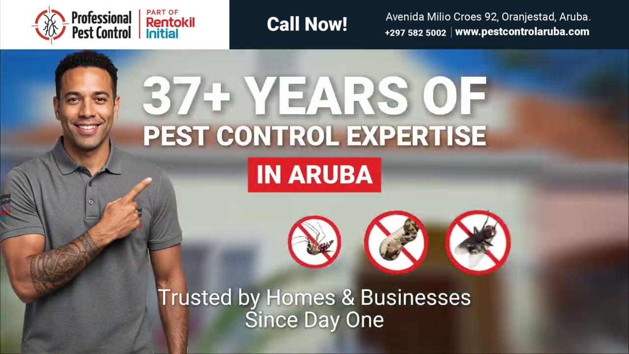 Aruba&rsquo;s Most Trusted Pest Control Experts | Professional Pest Control