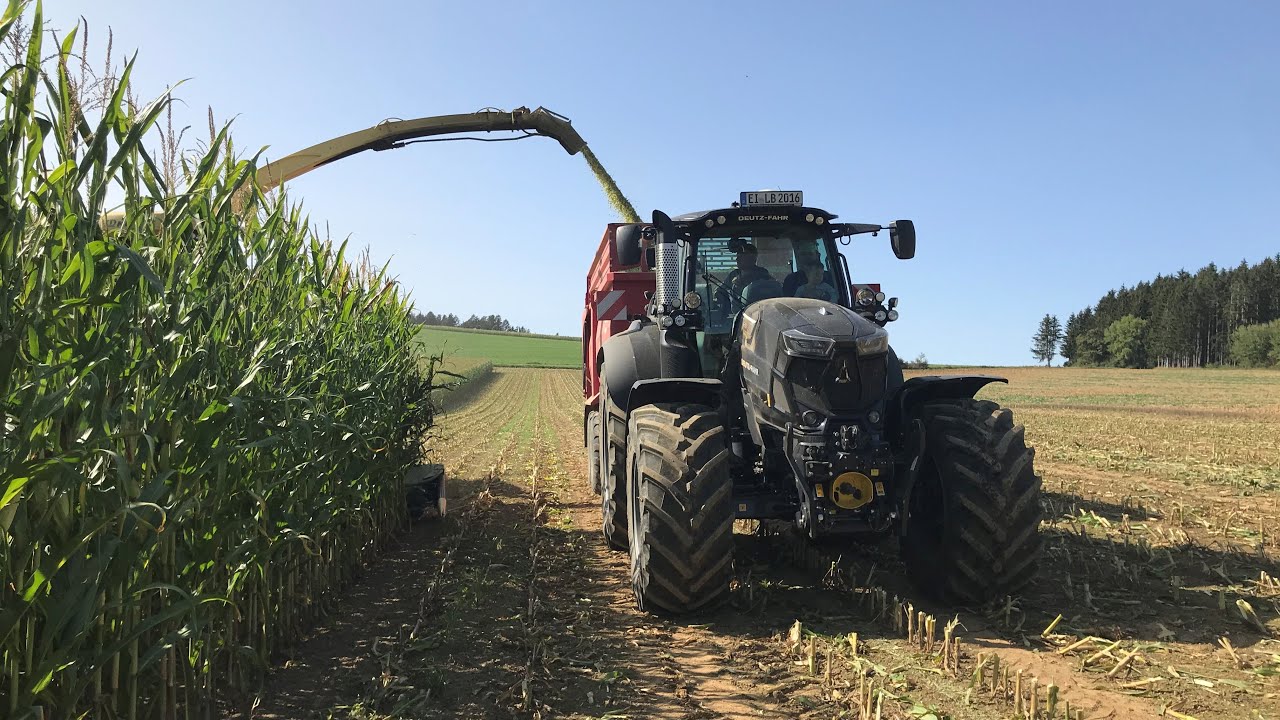 Deutz 6215 TTV Mais häckseln