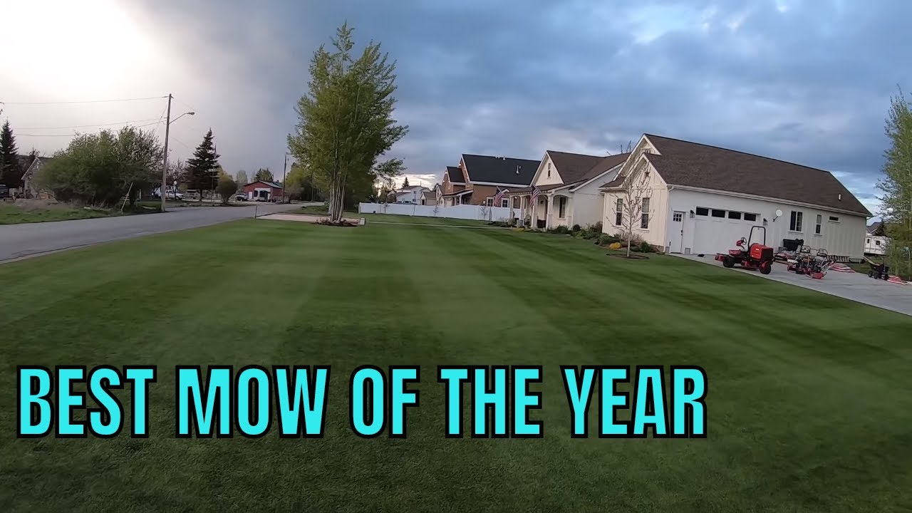 BEST MOW of my life. Reelmaster 3100D Memorial Day 2019