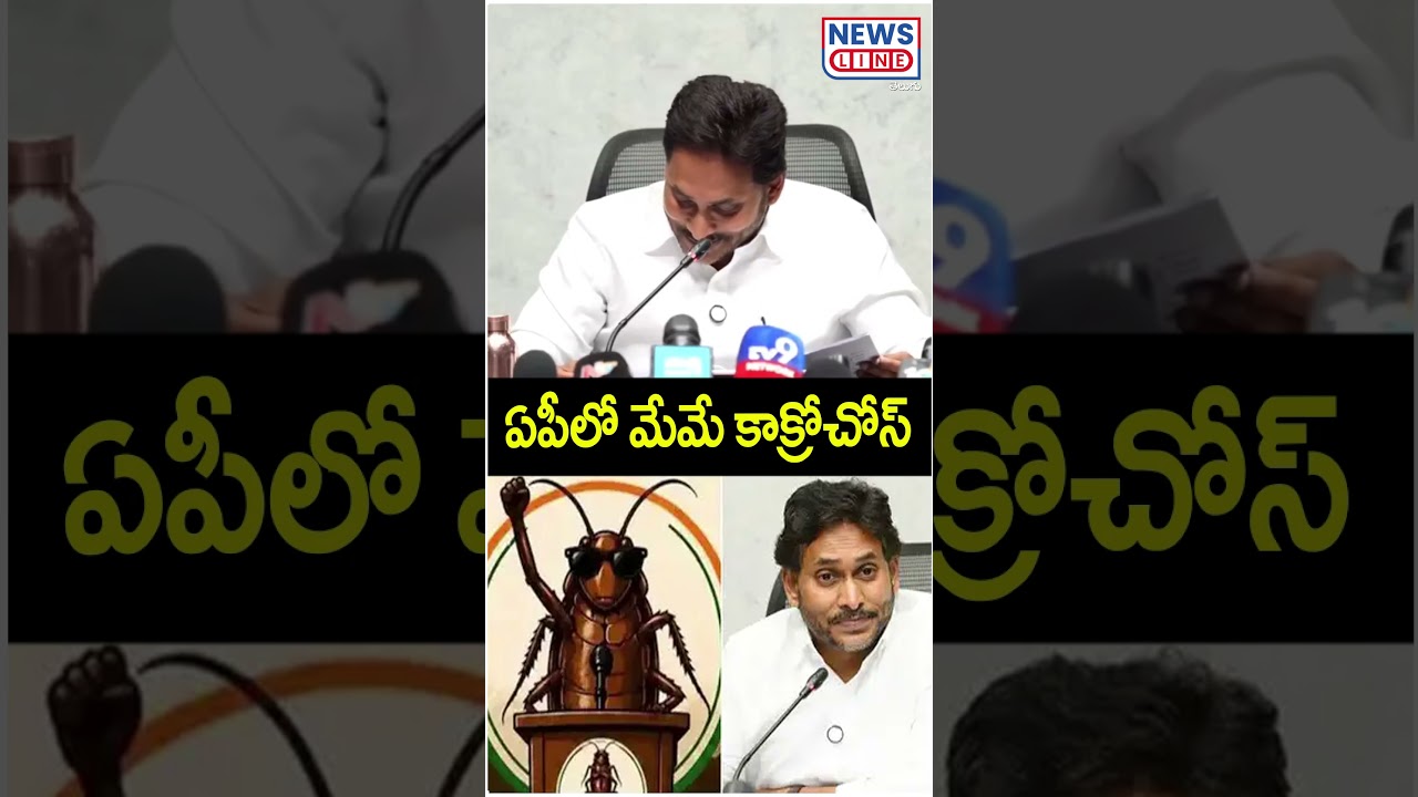 We Are The Cockroaches In AP | YS Jagan Sensational Comments | CJP In AP | Cockroach | News Line ...