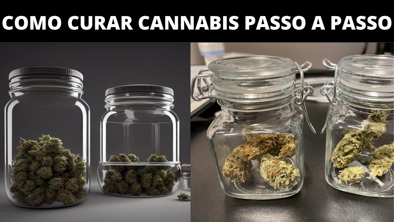 Como CURAR para AGU&Ccedil;AR o SABOR da Maconha - Passo a Passo