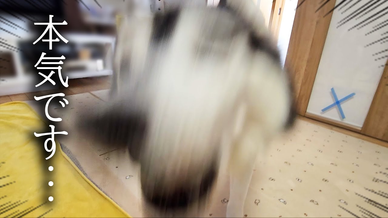病院だと思い本気でブチギレた...