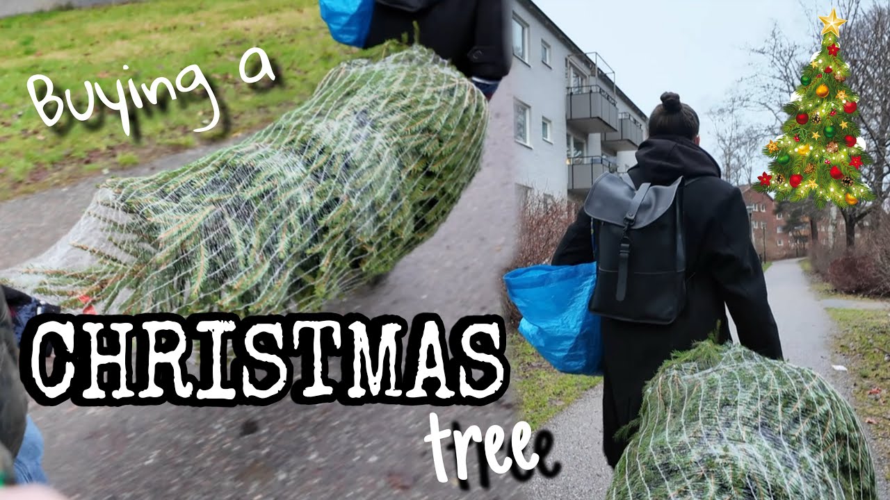 Buying a Christmas Tree 🌲 and making the X-mas ham 😌 Vlogmas day 13