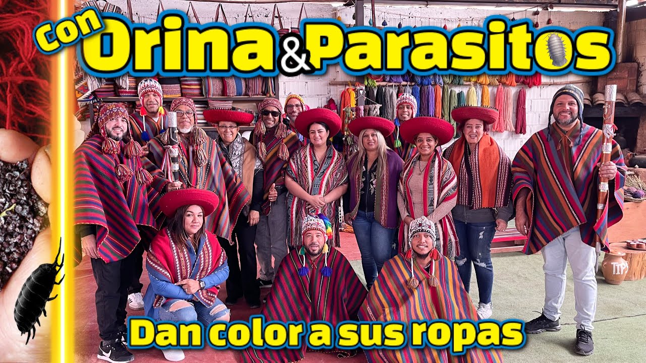 Te sorprenderá 😳 Cómo un pueblo de Cusco, Perú dan color a sus vestimentas 🌈