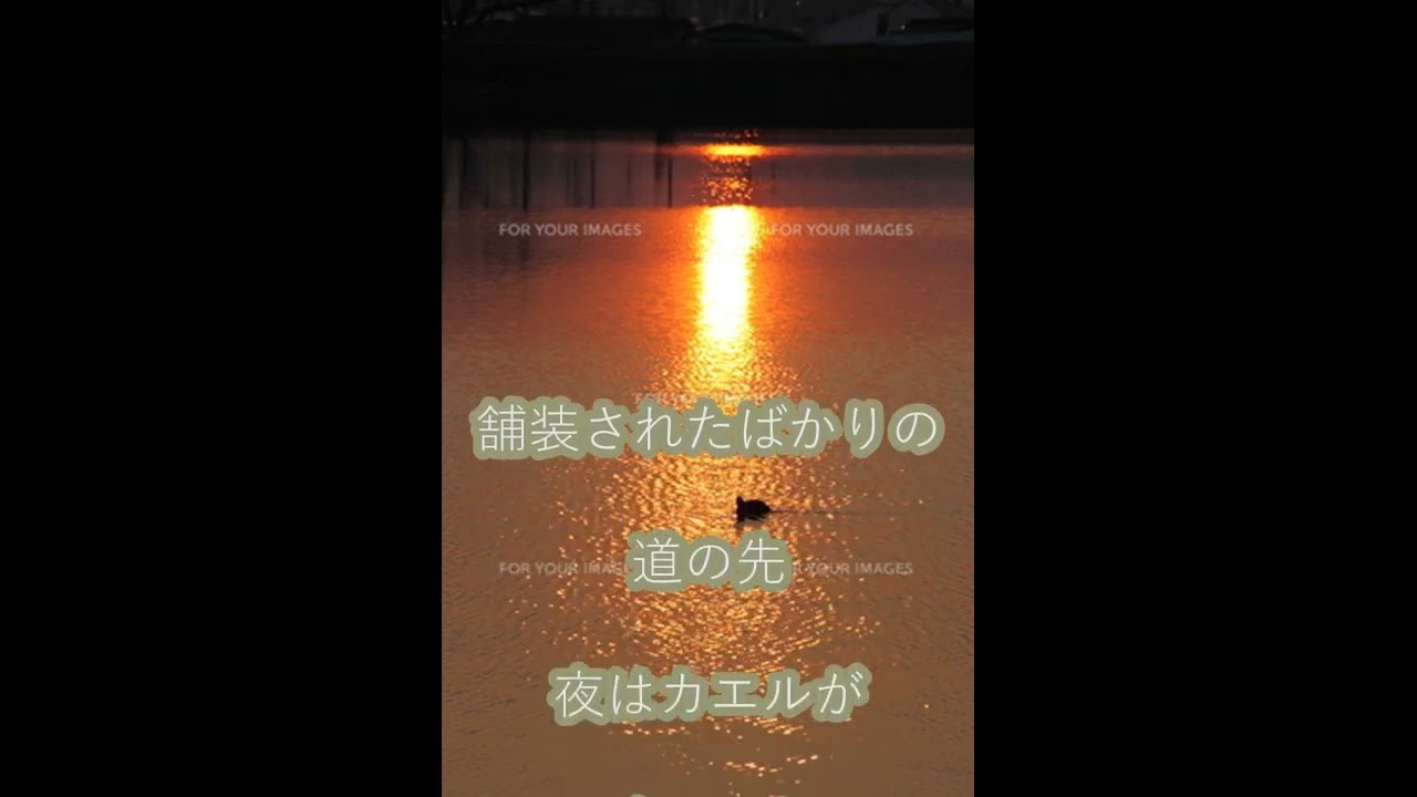 素のトリオ『 物語の向こう側 』