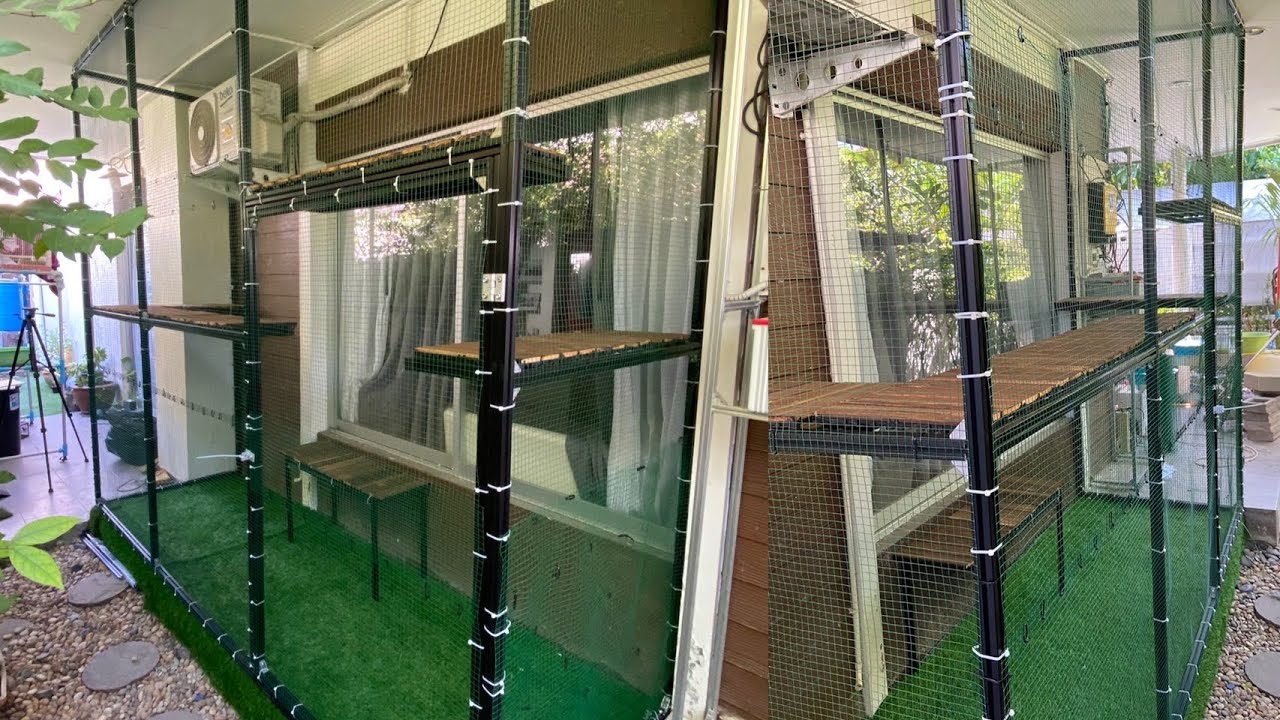 DIY Cat Catio Cat Cage Outdoor กรงแมวนอกบ้าน