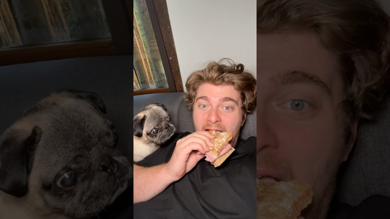 MON CHIEN A MANG&Eacute; MON DOIGT !