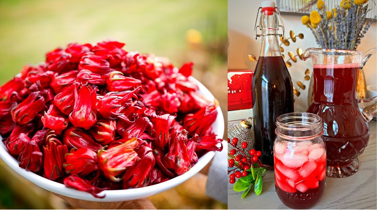 Caribbean Sorrel Drink
