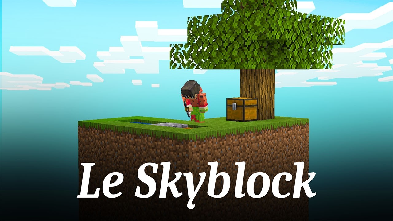 Comment t&eacute;l&eacute;charger et installer une Map Skyblock sur Minecraft