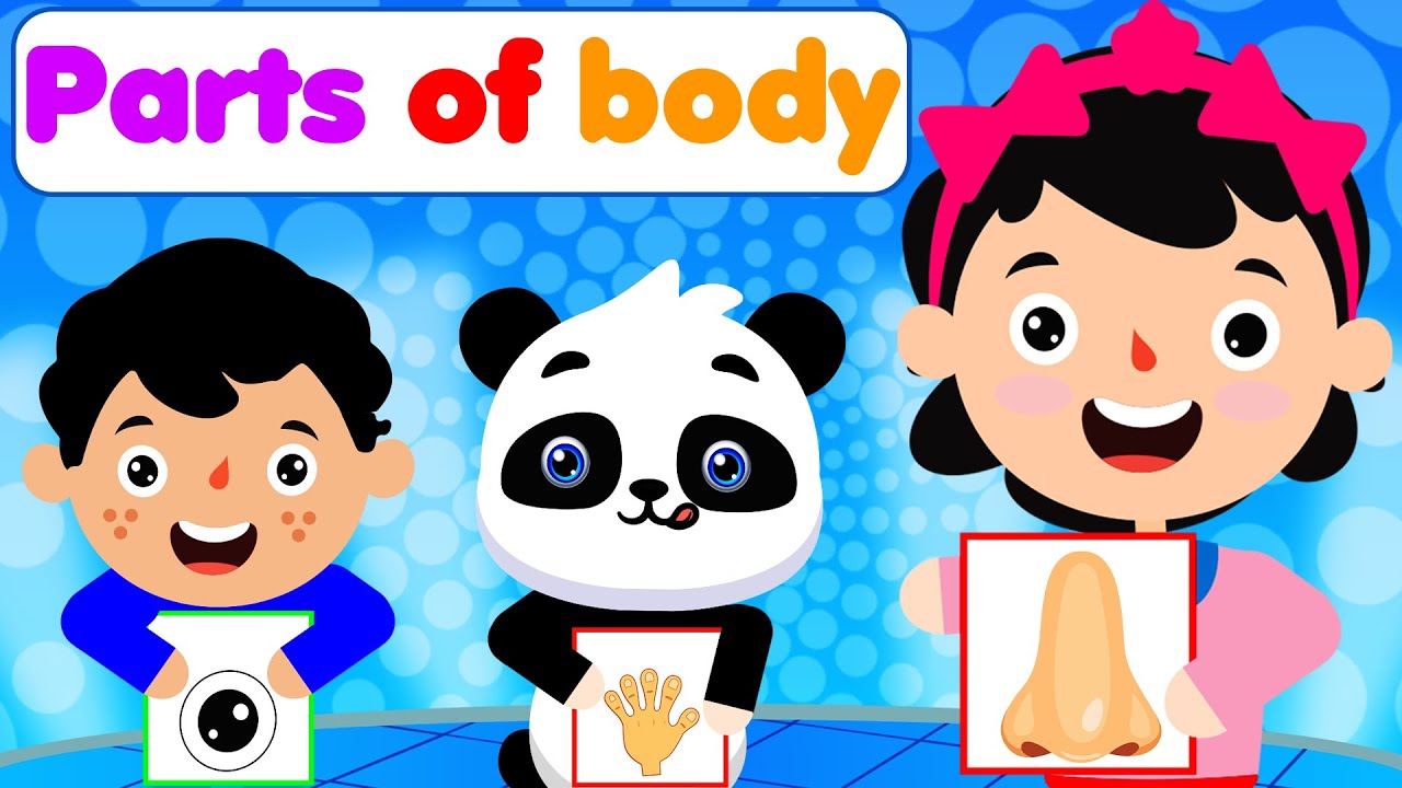 Parts of the body song - The Soft Roots Nursery Rhymes & Kids Songs