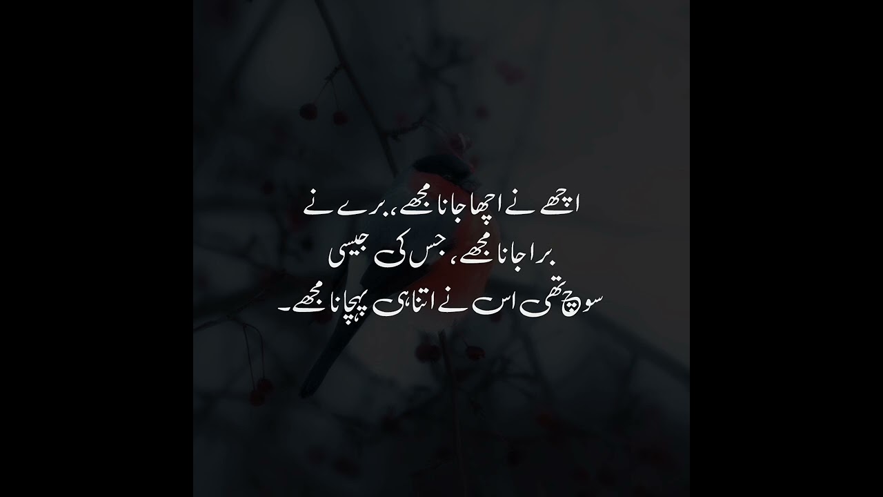Best Urdu Quotes | Urdu Islamic Quotes | Best Quotes About Life | Motivational Quotes