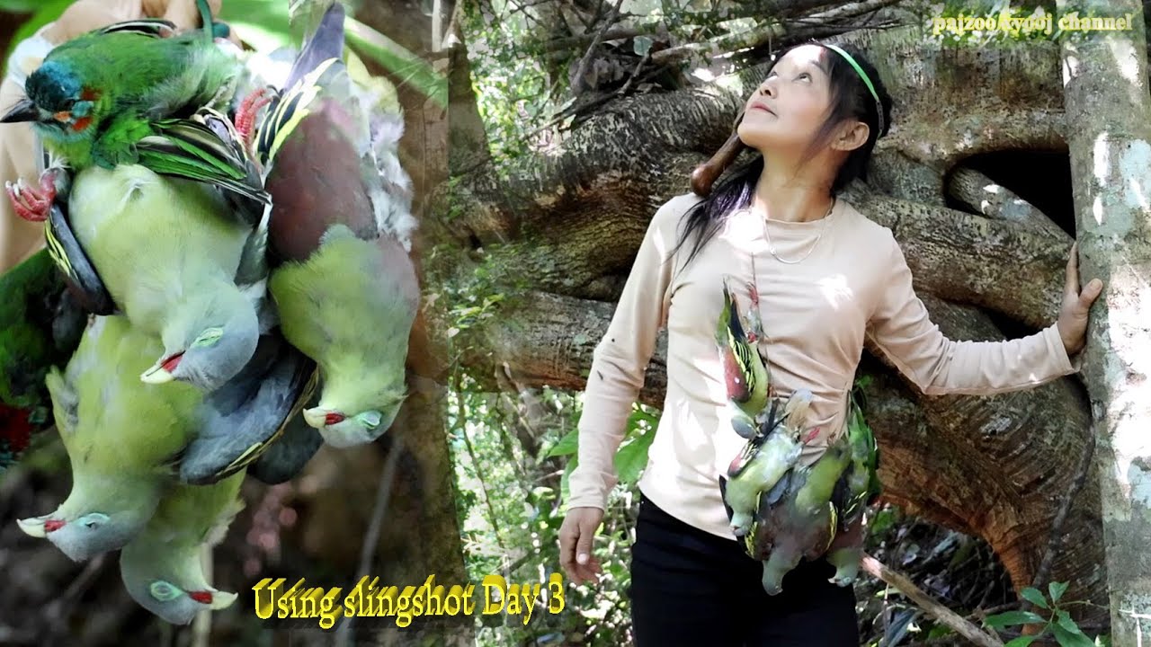 สาวดอย เดินป่ายามยิงนกเป้าเขียวกินผนไม้มาเยอะมาก Amazing using slingshot shooting birds day 3