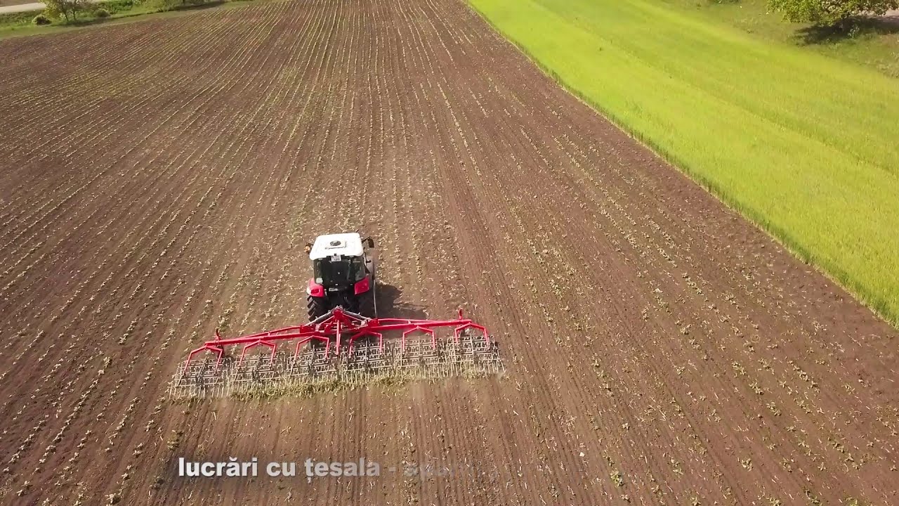 Lucrarea solului în agricultura ecologică la culturile cerealiere | InfOrganic