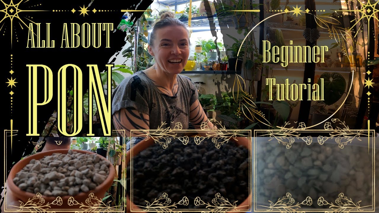 All About Pon | Beginner Tutorial | What It Is and How It Works | Is It Right For Your Plants?