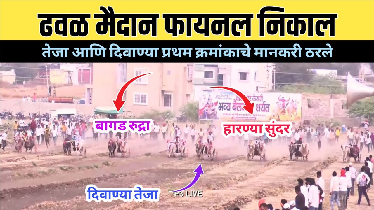 ढवळ वाघेश्वर केसरी मैदान फायनल निकाल/ढवळ मैदान फायनल फेरा/dhaval final nikal