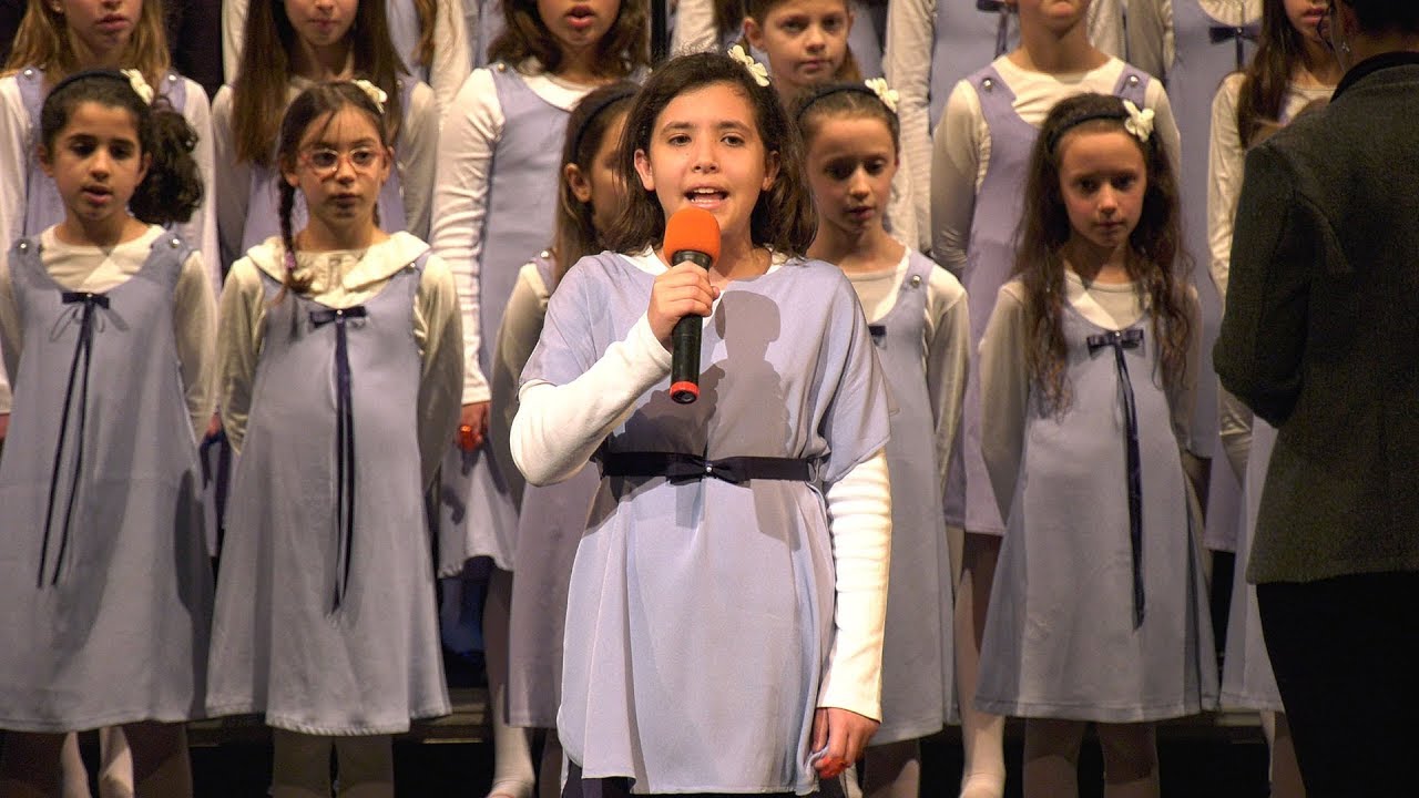 ZECCHINO STORY · live