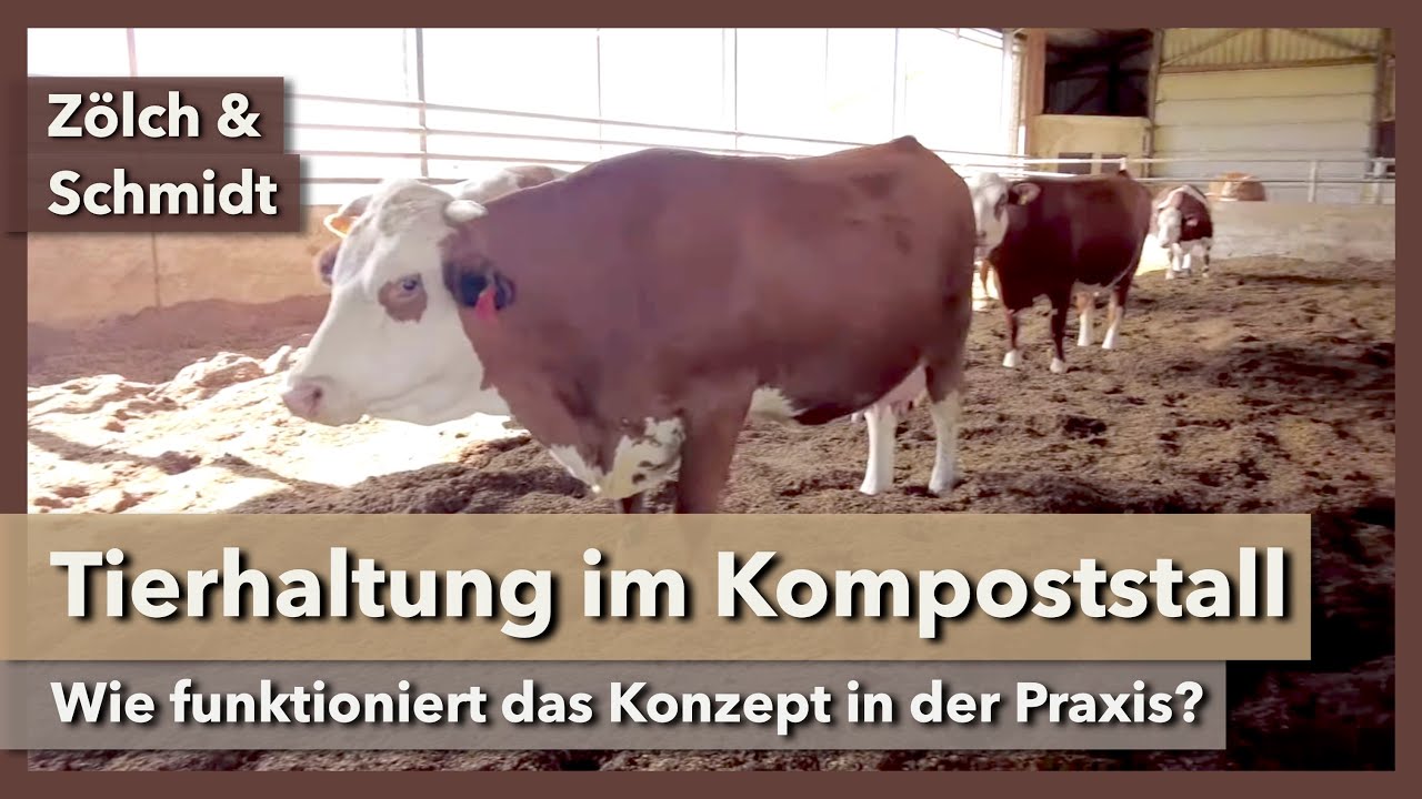 Tierhaltung im Kompoststall - Stallkonzept der Zukunft? | Zölch & Schmidt | Rundgang 4 | 2022