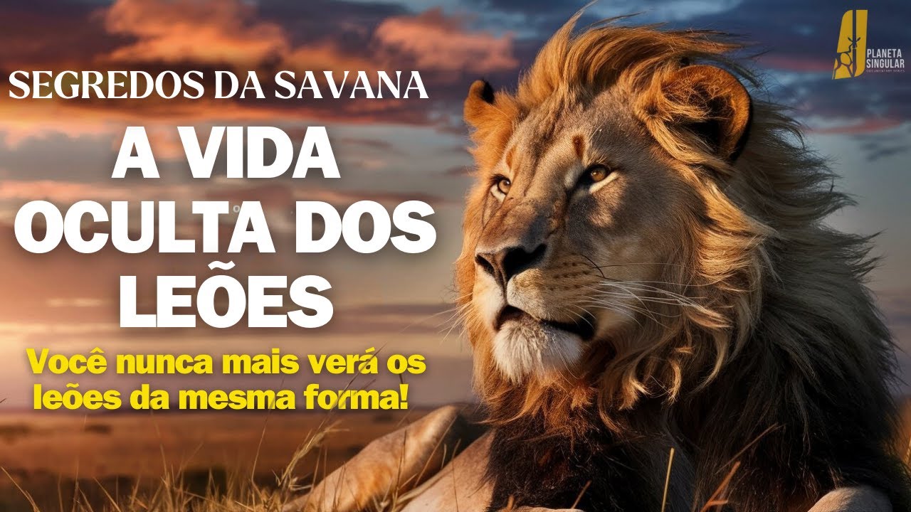 Segredos da Savana Revelam a Vida dos Le&otilde;es