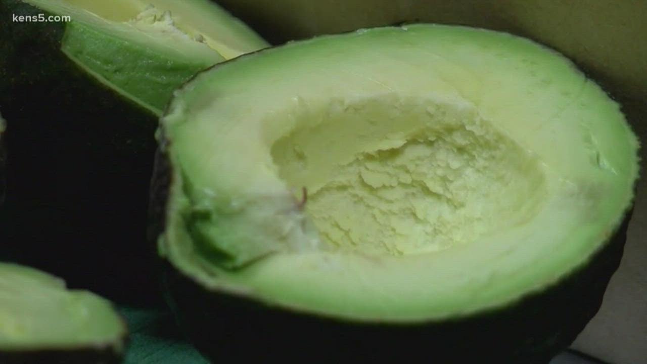 US suspends Mexican avocado imports