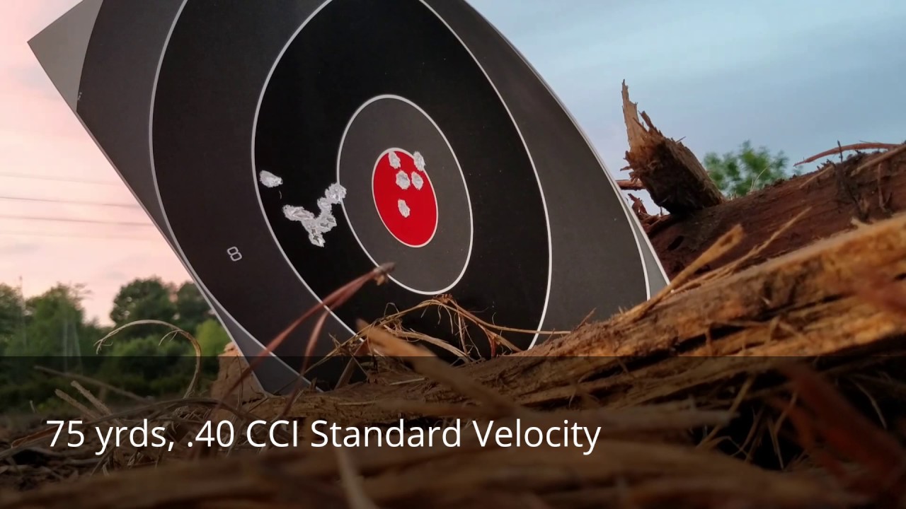 Ruger American .22lr, 75yrd shooting and ammo choice part 1