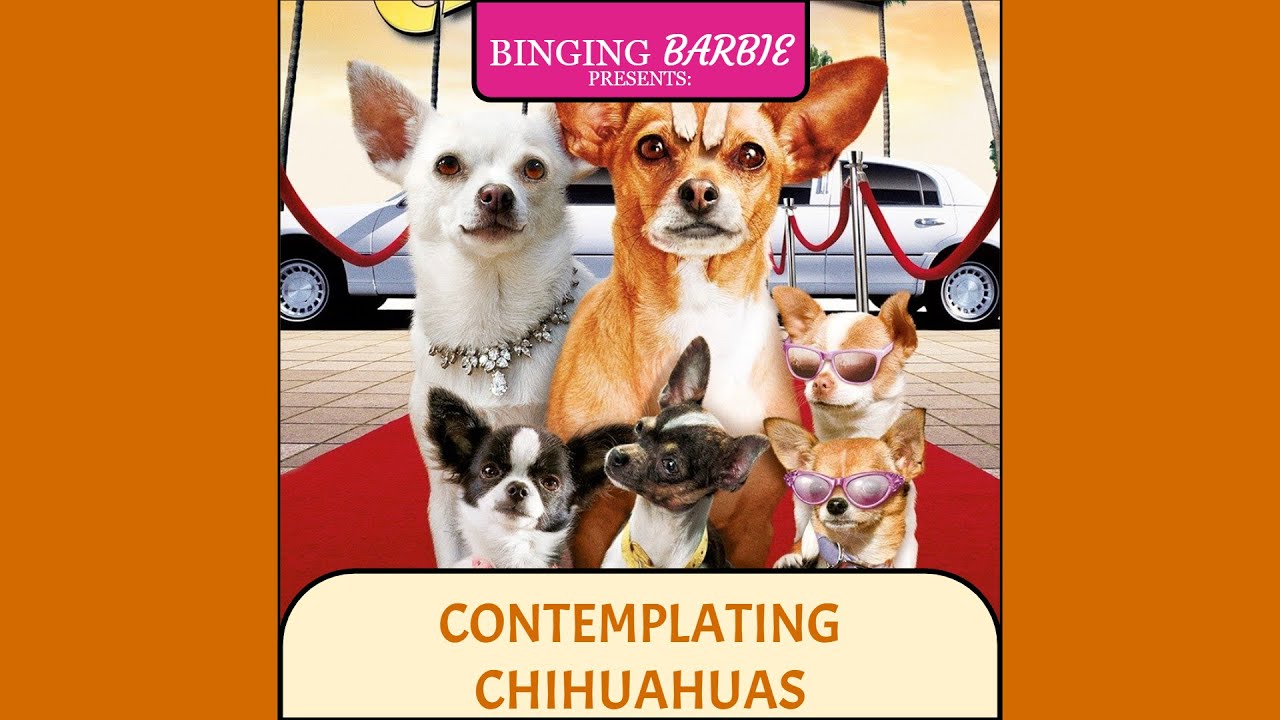 Contemplating Chihuahuas Ep 2 - Beverly Hills Chihuahua 2