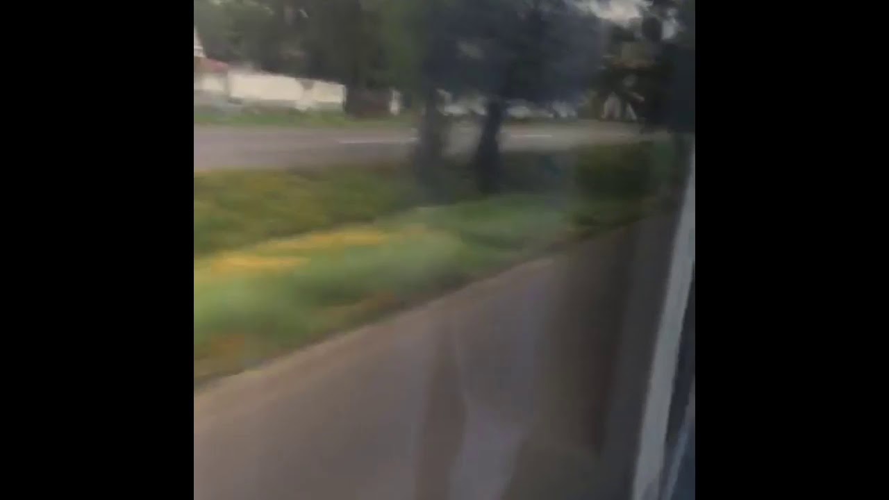 un Poco de Paracho Mich