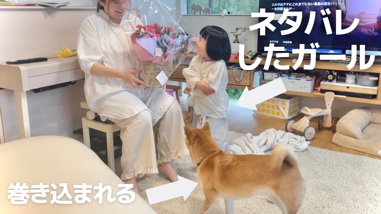 サプライズ計画を盛大にネタバレする娘と、なぜか巻き込まれる柴犬
