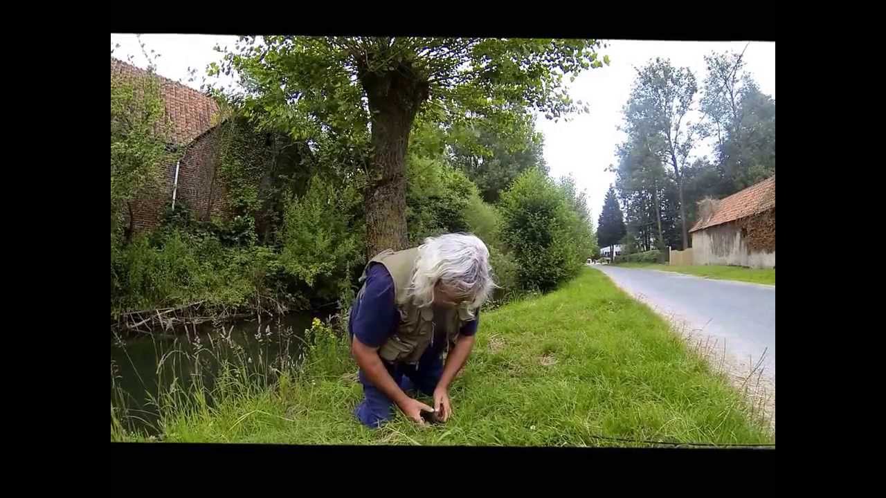 Pêche à la mouche - Ombre à renty