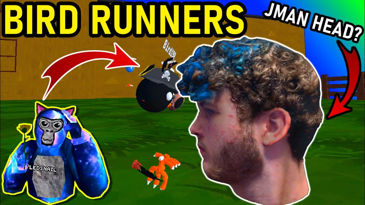 Gorilla Tag But You Can FLY LIKE A BIRD? | Bird Runners Oculus Quest 2 | Gorilla Tag Knockoff