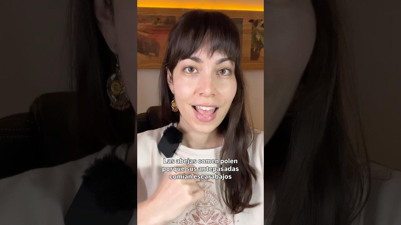 ¿Por qué las abejas son veganas?