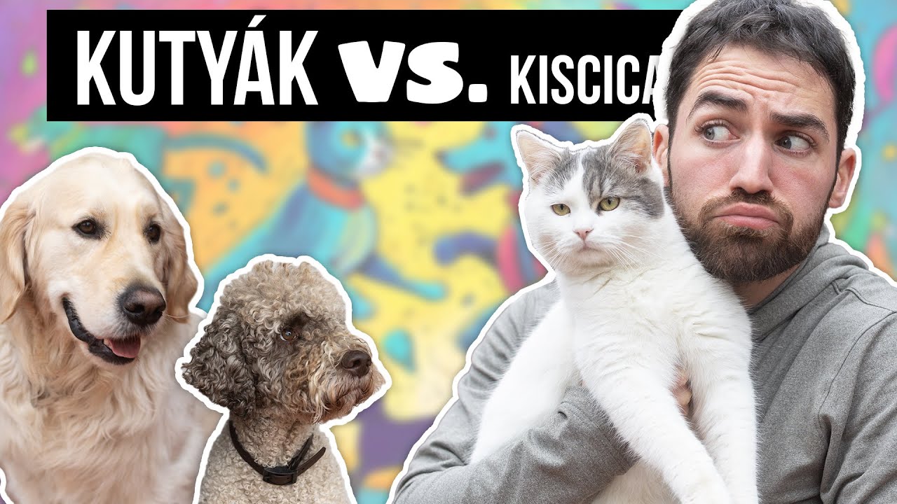 Hogyan BARÁTKOZTATTUK ÖSSZE A CICÁT A KUTYÁKKAL?