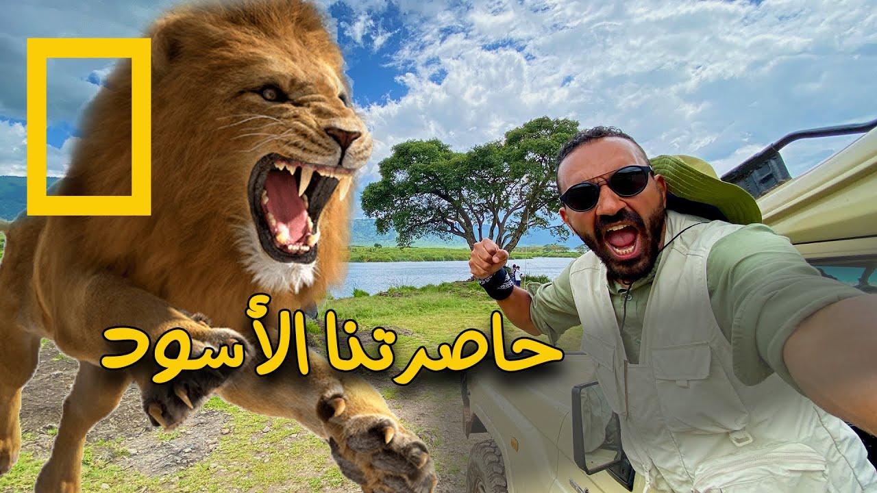 حاصرتنا الأسود في أدغال أفريقيا ..