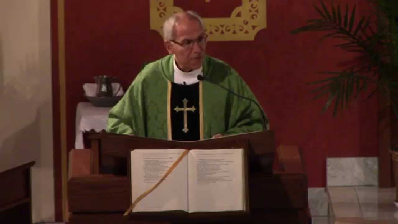 Fourteenth Sunday in Ordinary Time (Year B) - Fr. Hahn