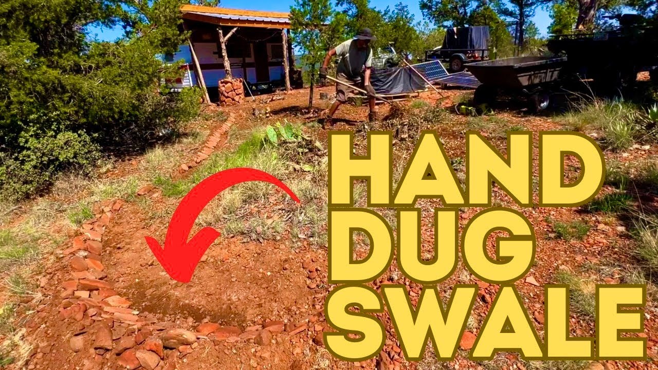 HAND DUG SWALES FOR FRUIT TREE PRODUCTION IN NORTHERN ARIZONA