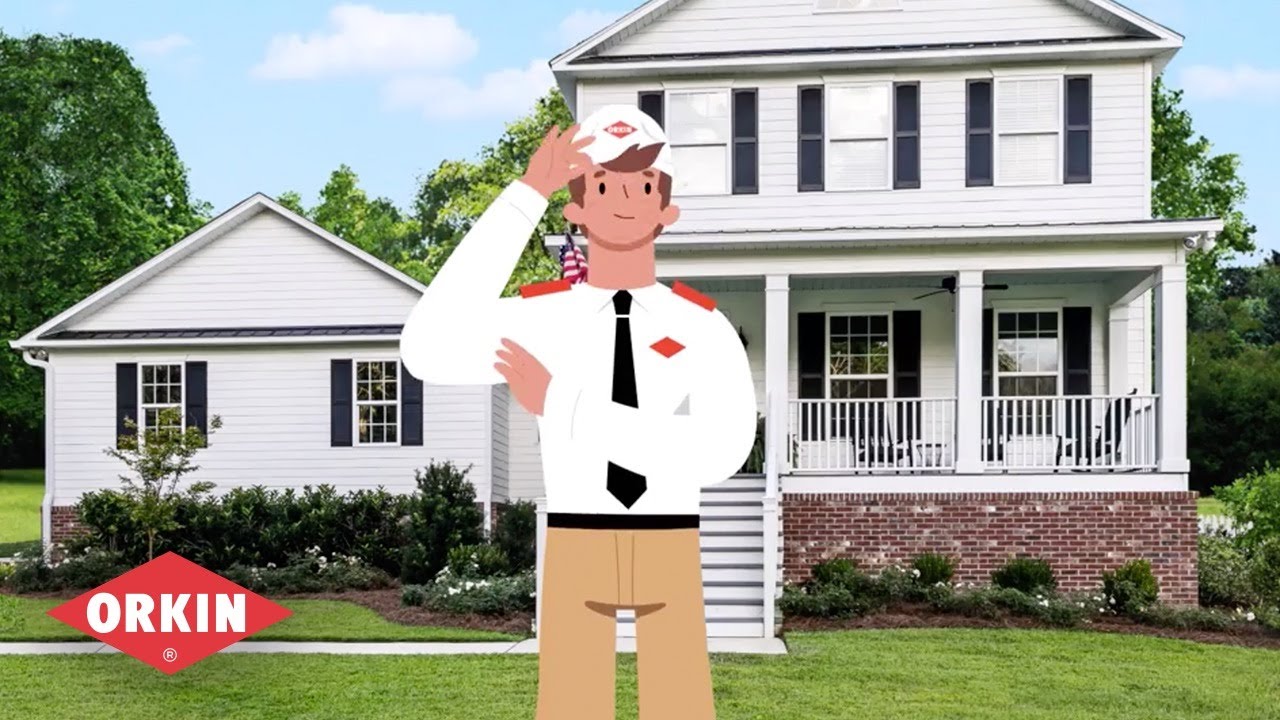 Termite Control: How Orkin Can Help Protect Your Home