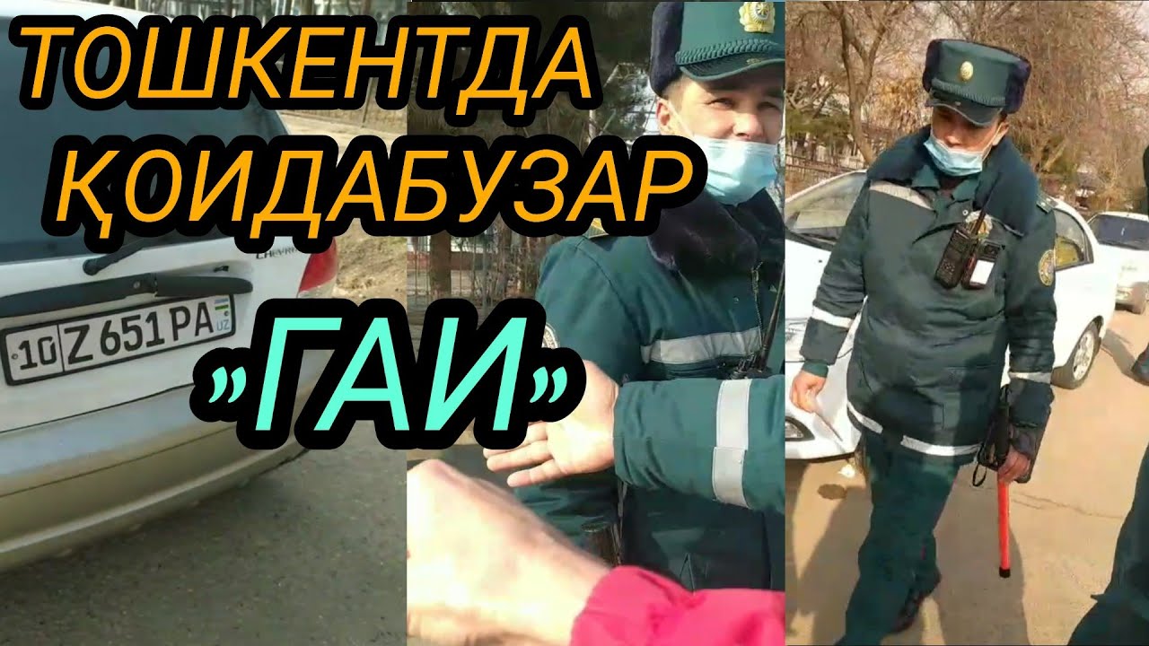 ДОМБИРОБОДДА ҚОИДАБУЗАР 